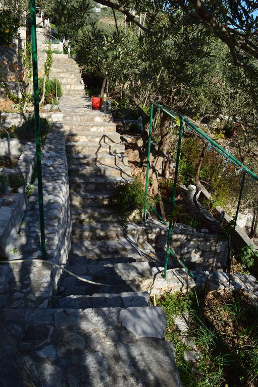 זיווגוסצה Apartments Majstrovic מראה חיצוני תמונה